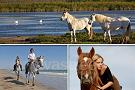 Camargue à cheval